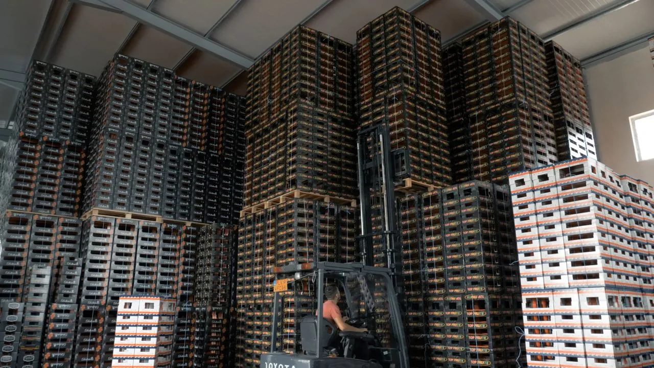 Forklift moving stacked pallets inside an industrial warehouse